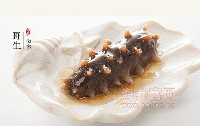 御参岛海参品牌介绍,御参岛海参产品介绍,御参岛海参店面