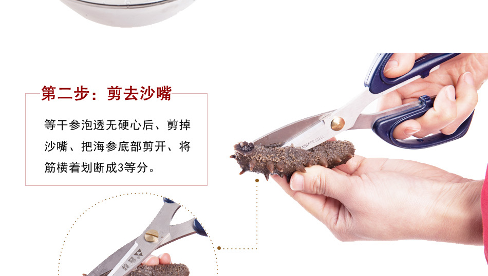 如何发海参_3