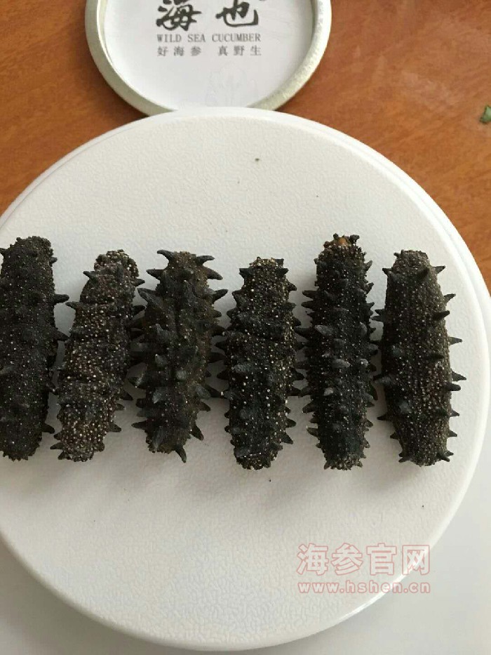 大连海参