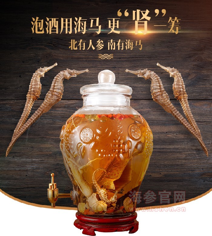 海马泡酒功效 海马和什么泡酒最好 泡酒方法比例