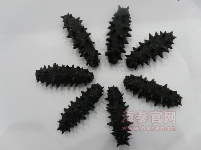 哪里的海参，如何正确的选择海参
