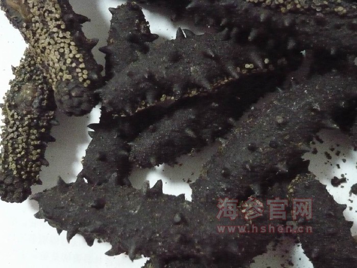 糖干海参多少钱一斤