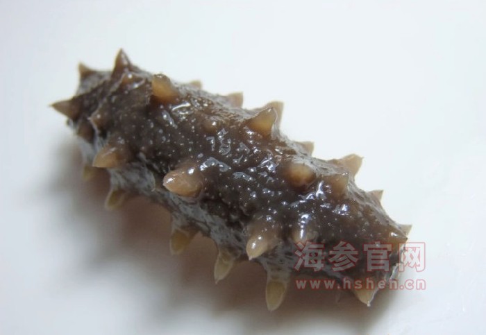 糖干海参泡发不起来