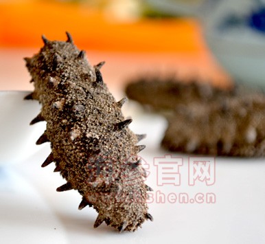 糖干海参的禁忌
