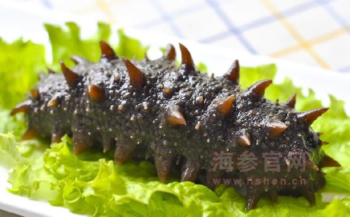 干海参的食用方法有哪些