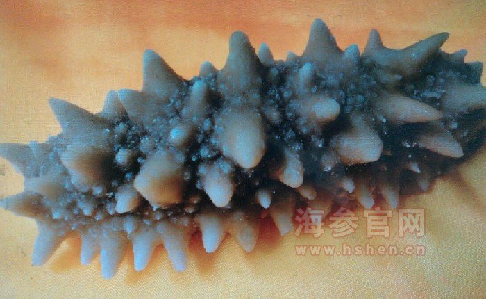 冷冻海参的吃法