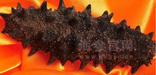 晓芹淡干海参的泡发