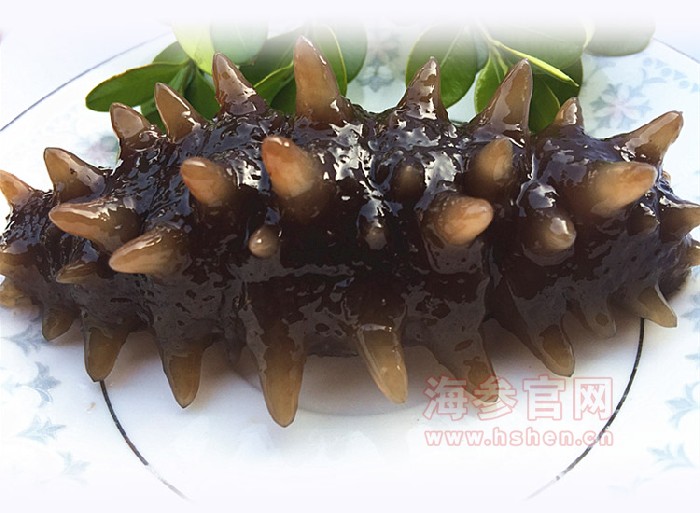 海参冷冻好还是冷藏好