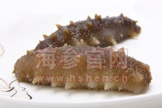 冷冻海参的价格