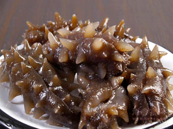 海参价格行情介绍