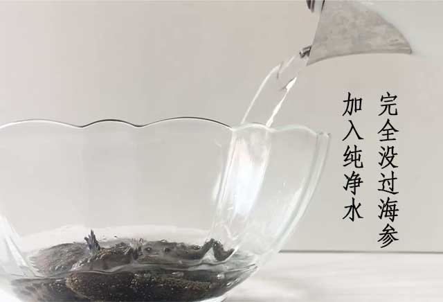 海参