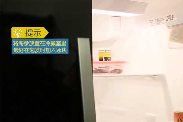 冰发海参放入冰箱泡发