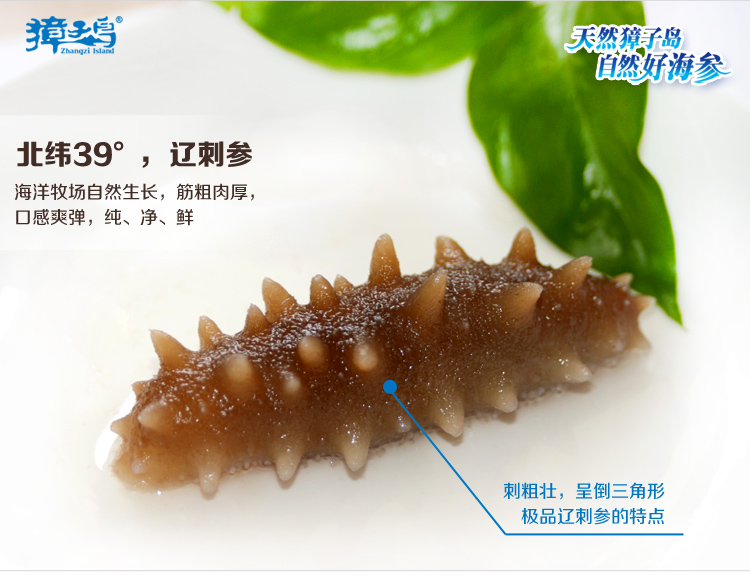 獐子岛海参