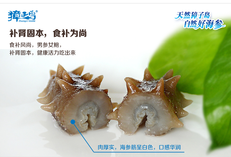 獐子岛海参