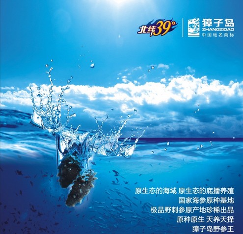 獐子岛海参