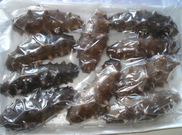 即食海参价格