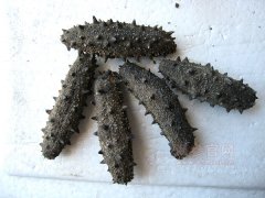 什么样的海参好