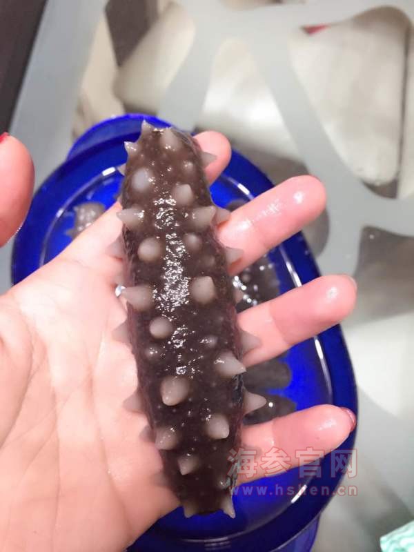 海参