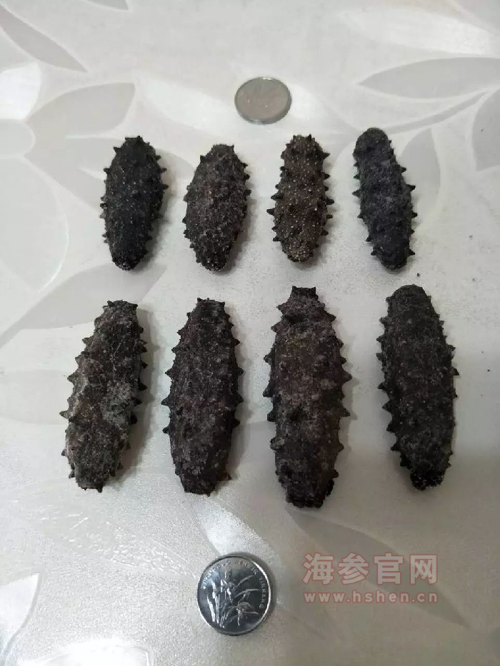 海参