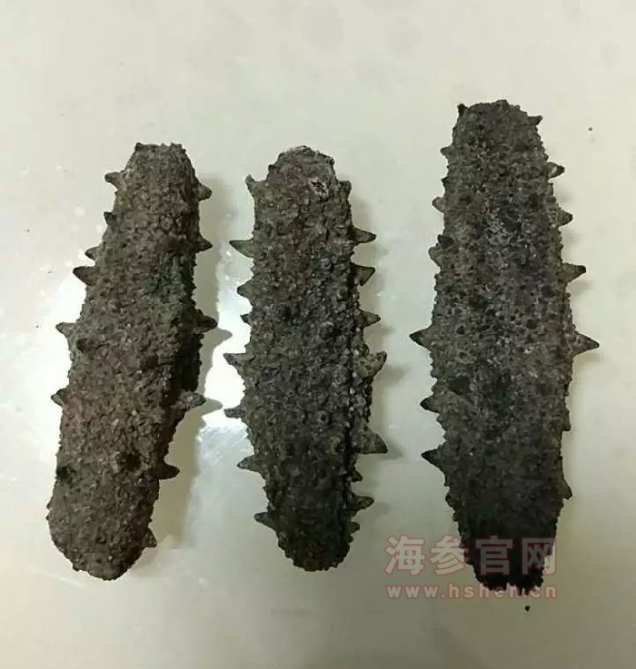 海参