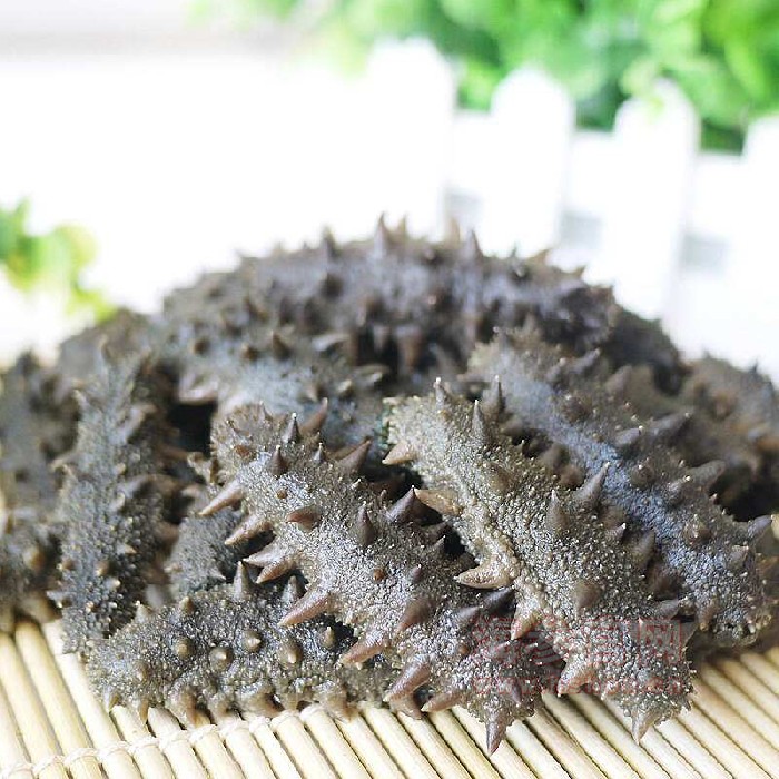 野生半干海参