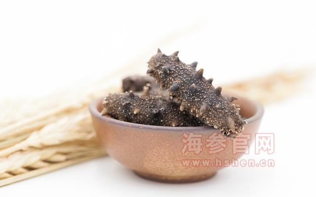 大连海参