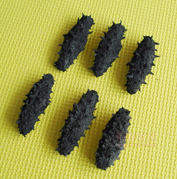 大连海参价格