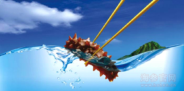 海参价格多少钱