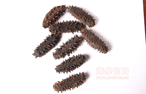 干海参赏析
