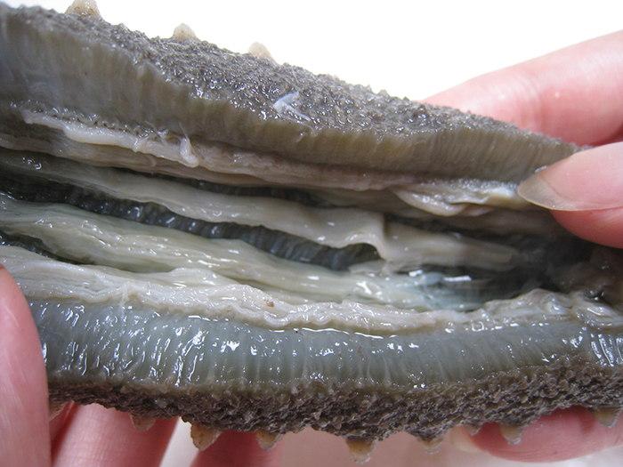 双举高压即食海参