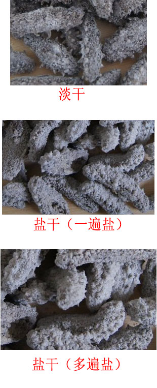 海参价格