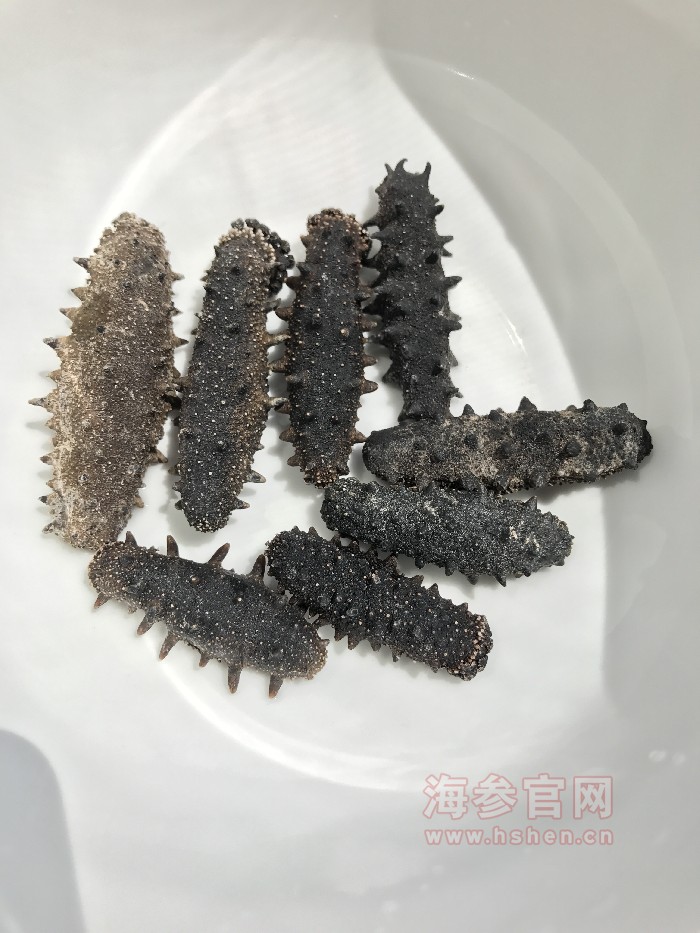 野生海参在海底摄食不同,所以黑、黄、灰色