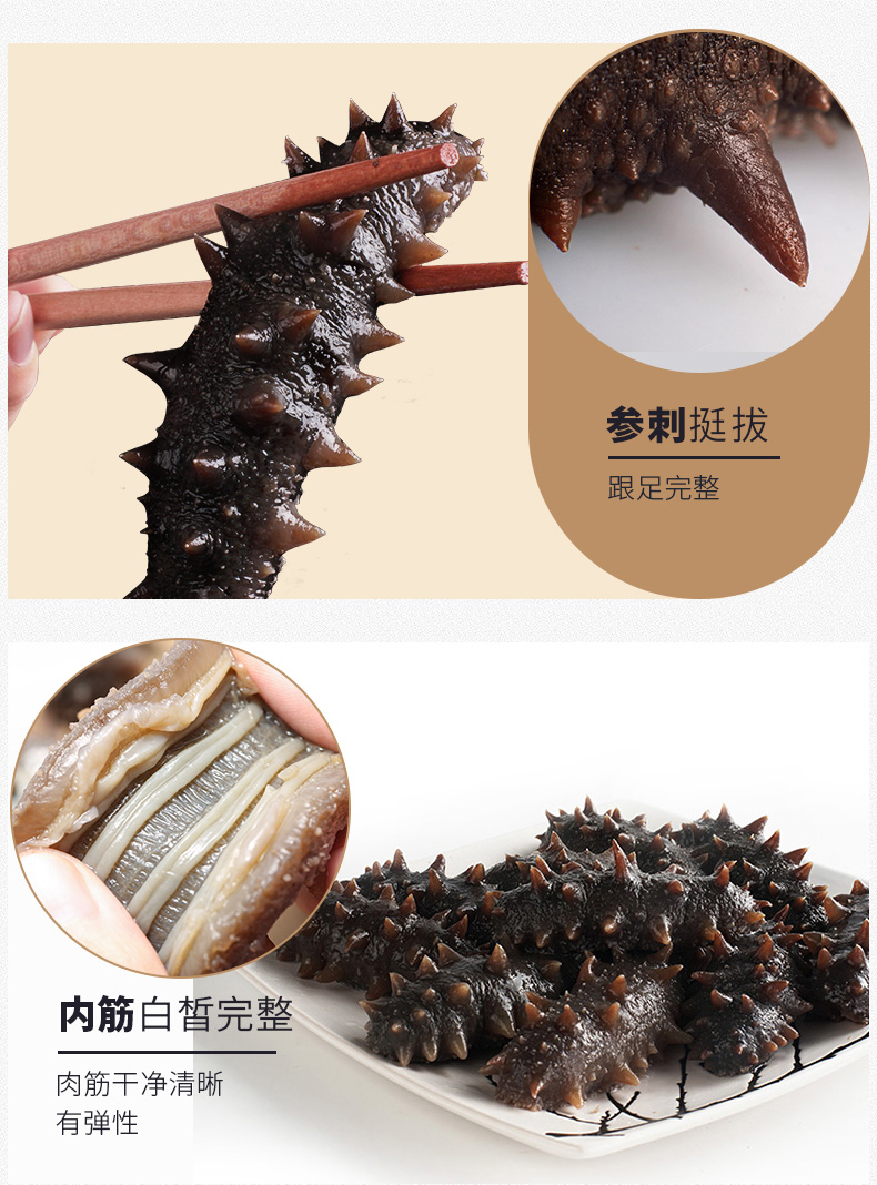 海参内筋外观 身体刺颜色外观