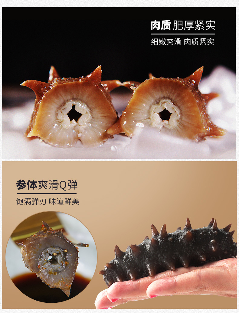 大连刺参横截面 切开效果