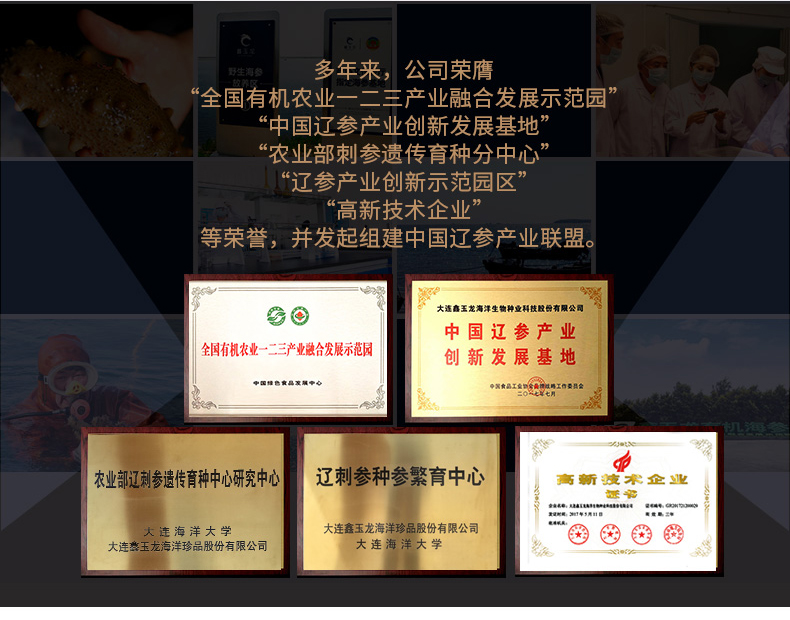 鑫玉龙荣誉证书