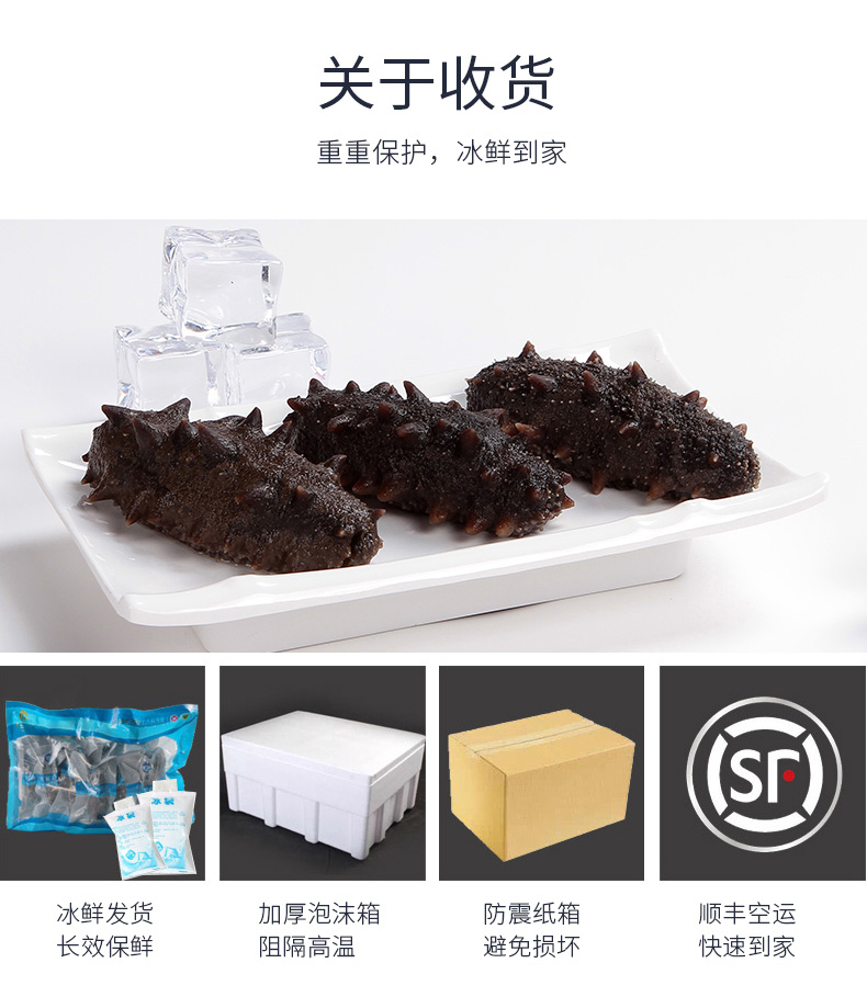 新玉龙海参收货