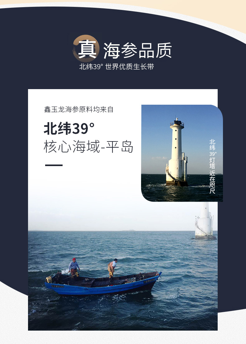 大连新玉龙海参选自平岛海参