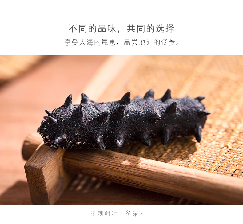 淡干海参速发海参特写