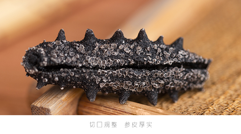 淡干海参速发海参特写