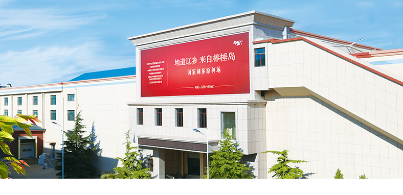 大连棒棰岛办公楼写字楼