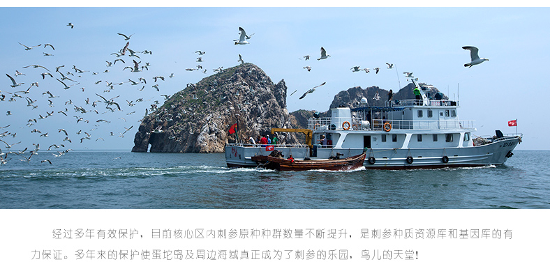 海参生长海域环境