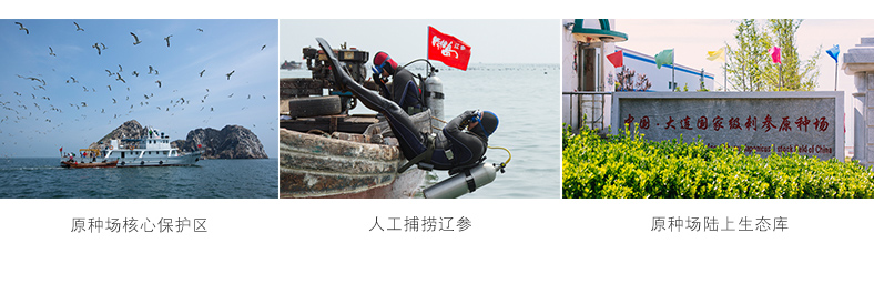 海参生长海域环境