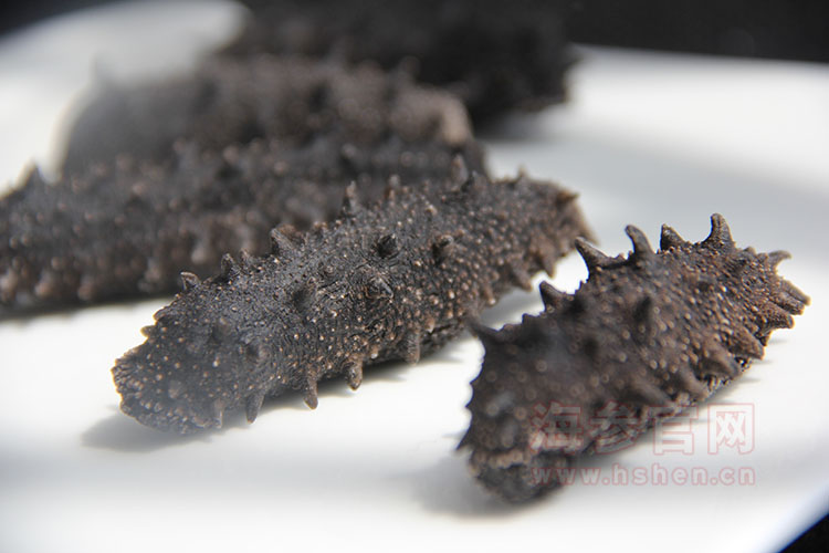 辽波湾野生海参报价