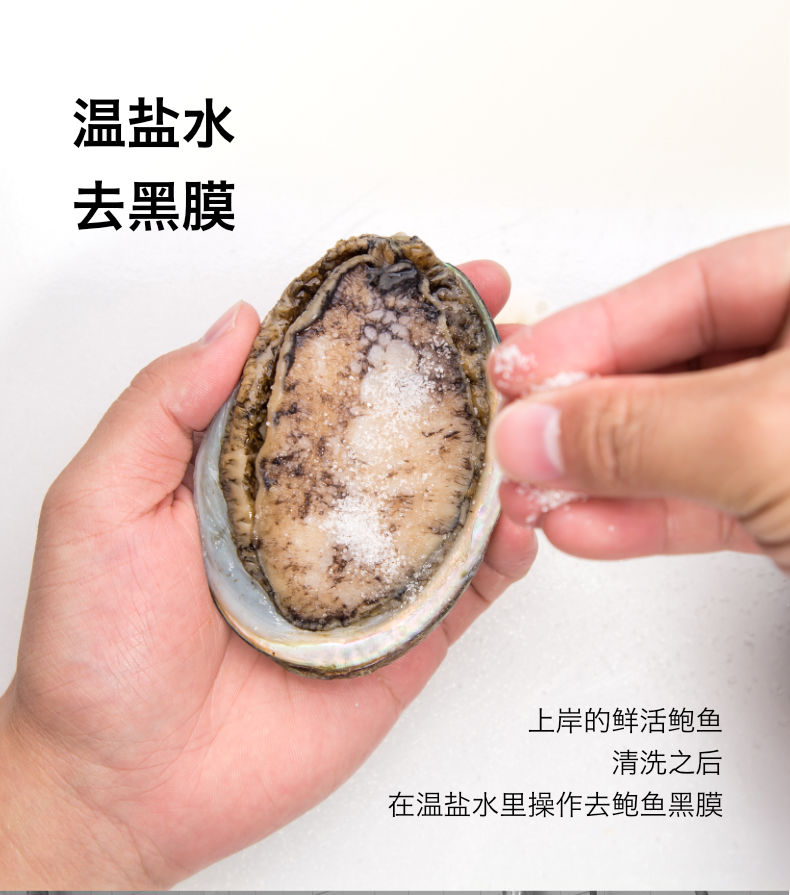 獐子岛元宝鲍鱼罐头5