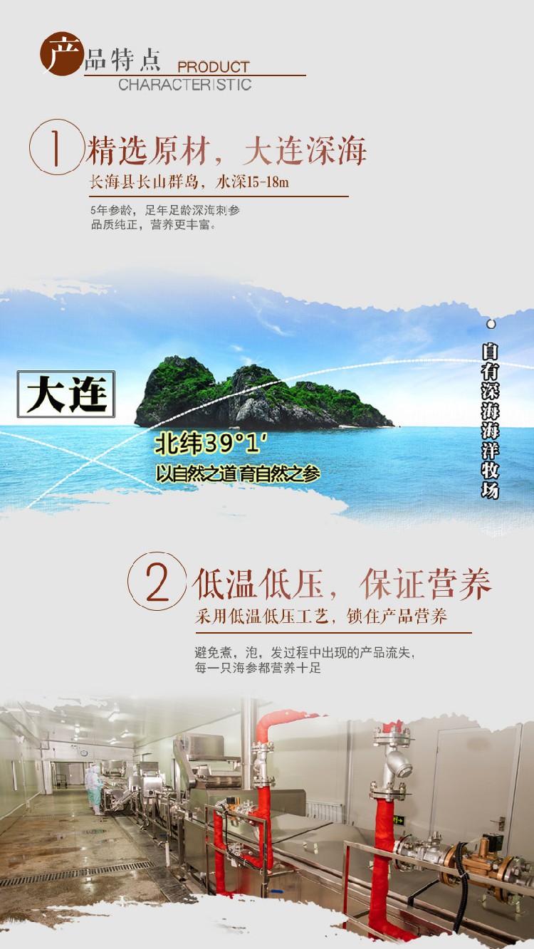  长生岛海参礼盒装