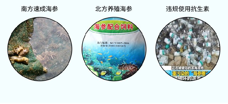 好当家海参