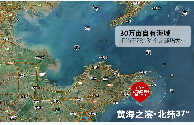 好当家海参