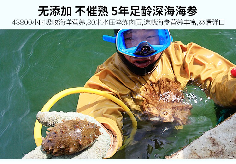 好当家海参