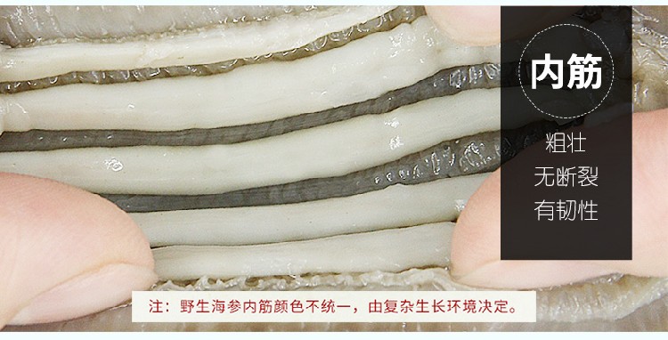 好当家海参