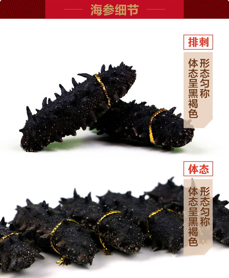 环岛深海传奇 即食海参礼盒装